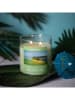 Colonial Candle Duftkerze "Sun Soaked Lime" in Grün - 425 g