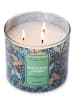 Colonial Candle Duftkerze "Peppered Juniper" - 396 g