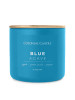 Colonial Candle Duftkerze "Blue Agave" in Blau - 411 g