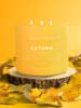 Colonial Candle Geurkaars "Autumn Nights" geel - 411 g