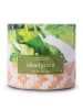 Colonial Candle Duftkerze "Tropic Island Green" in Grün - 411 g