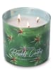 Colonial Candle Geurkaars "Desert Prickly Cactus" groen - 411 g