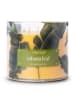 Colonial Candle Geurkaars "Tropic Cabana Leaf geel/groen - 411 g