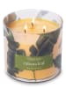 Colonial Candle Geurkaars "Tropic Cabana Leaf geel/groen - 411 g