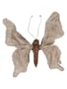 Clayre & Eef Deco-object "Vlinder" beige/bruin - (B)33 x (H)6 x (D)31 cm