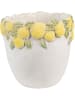 Clayre & Eef Bloempot wit/goudkleurig - (H)19 x Ø 20 cm