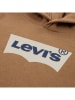 Levi's Kids Hoodie lichtbruin