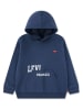 Levi's Kids Hoodie blauw