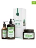 Argani Care 3-częściowy zestaw do włosów "Trio Box - Moisturizer and Sebum Regulator"