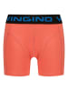 Vingino 5-delige set: boxershorts meerkleurig