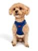 Paws&Whiskers Hundegeschirr in Blau