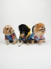 Paws&Whiskers Hundehoodie in Bunt