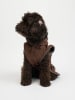Paws&Whiskers Hondenhoodie bruin