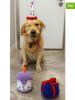 Paws&Whiskers 3tlg. Hundespielzeug-Set in Bunt