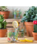 Trendy Kitchen by EXCÉLSA 6er-Set: Gläser "Cactus" in Bunt - 250 ml