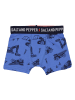 Salt and Pepper 3er-Set: Boxershorts in Blau/ Grau