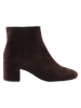 Högl Leder-Stiefeletten "Daydream" in Braun