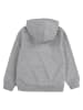 Levi's Kids Hoodie grijs