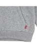 Levi's Kids Hoodie in Grau
