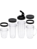 Adler Smoothie-Mixer-Set "AD 4084" in Silber/ Schwarz