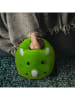 MAD MONKEY Voetenwarmer "Mad Monkey Dino" groen