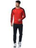 erima Sweatshirt "Evo Star" in Rot
