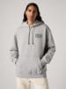 Levi's Hoodie in Grau