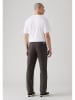 Levi's Hose in Anthrazit