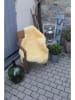 Kaiser Naturfellprodukte Medizin-Lammfell in Beige