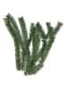 Rice 6er-Set: Weihnachtsbaumzweige in Grün - (H)52 cm
