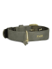 Zwei Halsband in Khaki - (L)50 cm