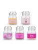Barbie 5er-Set: Duftkerzen ''Barbie'' in Pink/ Rosa/ Gelb - 5x 110 g