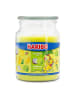 Haribo Duftkerze "Haribo - Coconut Lime" in Gelb - 510 g