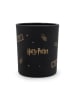 Harry Potter Duftkerze "Harry Potter Magical Owl" in Schwarz - 135 g