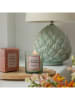 Laura Ashley Geurkaars "Laura Ashley - Mandarin & Sandalwood'' groen - 200 g