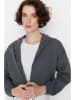 trendyol Sweatshirt in Grau
