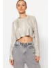 trendyol Trui grijs/zilverkleurig
