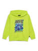 LEGO Hoodie in Grün