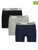 RAIZZED® 3er-Set: Boxershorts "Nora" in Bunt