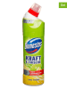 Domestos 4er-Set: WC-Reiniger-Gel "Lime Fresh", je 750 ml
