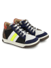 Pom D'api Leder-Sneakers in Bunt