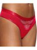 Triumph String "Palina" rood