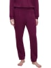 Triumph Sweatbroek bordeaux