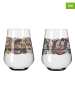 RITZENHOFF 2-delige set: glazen "Schattenfauna'' meerkleurig - 540 ml