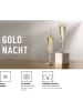 RITZENHOFF 2-delige set: champagneglazen "Gouden Nacht" goudkleurig/zwart - 200 ml