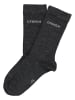 Copenhagen Studios Skarpety w kolorze antracytowym