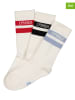 Copenhagen Studios 3er-Set: Tennissocken in Weiß