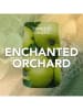 Yankee Candle Świeca zapachowa "Enchanted Orchard" - 567 g