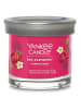 Yankee Candle Świeca zapachowa "Red Raspberry" - 122 g