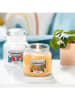 Yankee Candle Home Inspiration Geurkaars - "Exotic Fruits" - 340 g